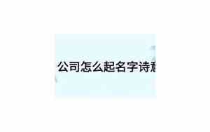 公司诗意起名