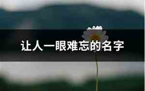 一眼难忘女孩名字好听