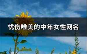中年女性网名