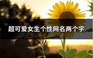 两个字的网名大全