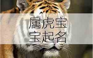 名字起名男虎宝宝