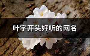 叶的网名