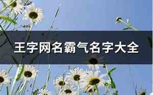 王字个性网名