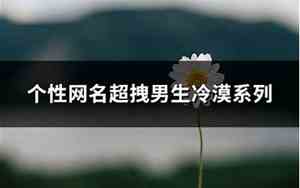 个性网名超拽