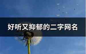 抑郁好听网名四字