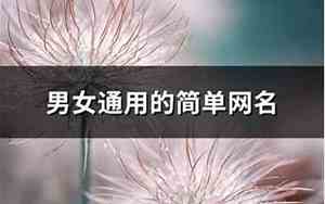 男女通用网名