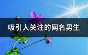 吸引人的网名男生