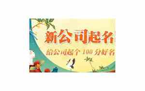 人力软件公司起名