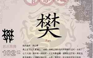 2017宝宝樊姓名字
