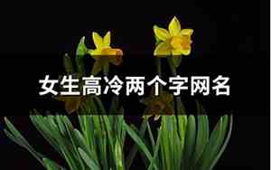 女生网名两个字高冷