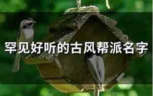帮派的好名字
