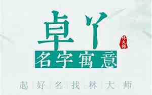 卓夏公司名字打分