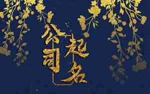 外国象征财富的公司名字
