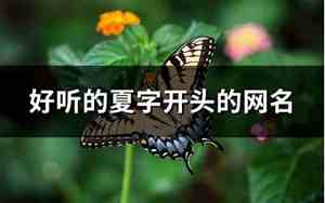 夏开头的网名