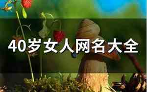 40岁女人网名