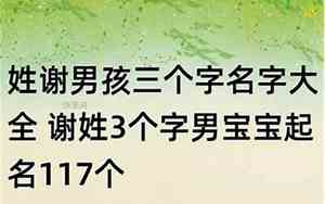 2019姓谢男宝宝名字