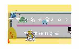 2020男宝宝带米名字