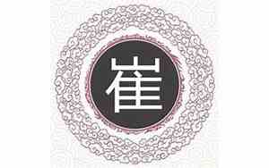 男宝宝姓崔名字大全