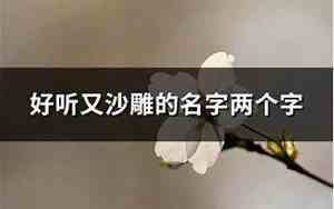 好名字沙雕两个字