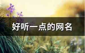 好听一点的网名