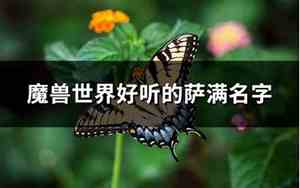 好听的萨满祭司名字
