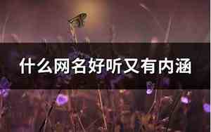 在快手里取什么网名好听