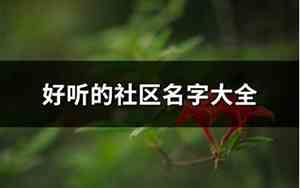 好听的江边社区名字