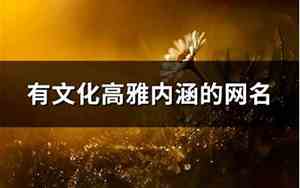 有文化的网名