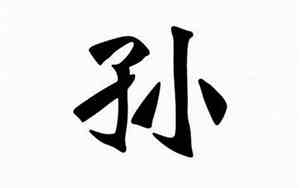 孙子的名字好听吗