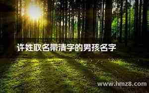 有带清的好名字