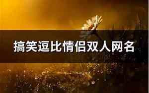 双人网名