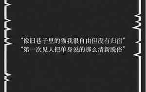 带磊的网名