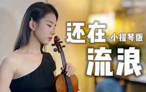 好听的小提琴声音软件