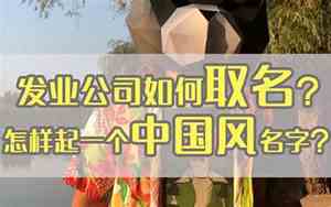 小型假发公司起名大全