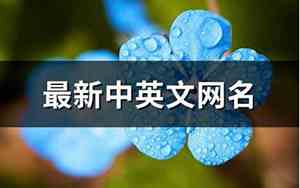 中英网名
