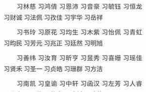 好名字pzt