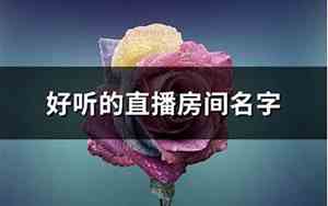 好听点的房间名字