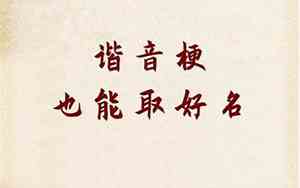 带谐音的宝宝名字