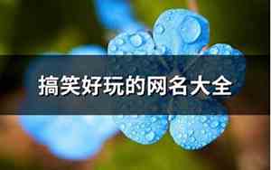 好玩网名