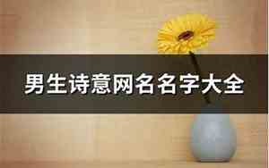 成熟有诗意的网名男生