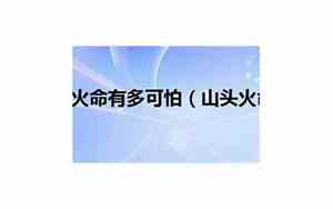 山头火命公司名字