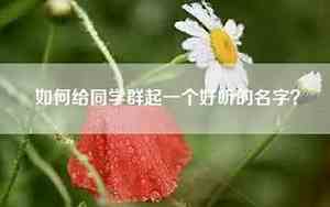 如何给同学群起群名好听