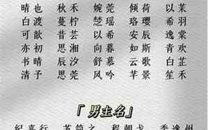 小说女主岁月静好名字