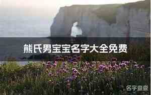 男宝宝名字熊