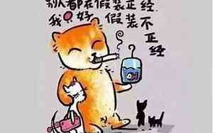 假正经的公司名字大全