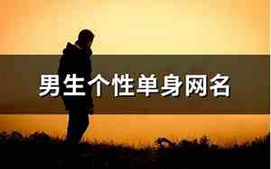 单身男生网名