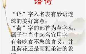 熊宝宝名字简单好听女孩