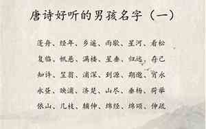 男宝宝有木的名字