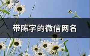 带陈的网名