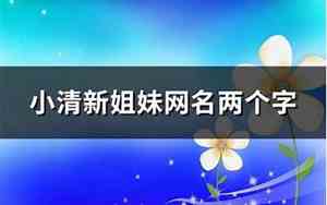 姐妹网名两个字